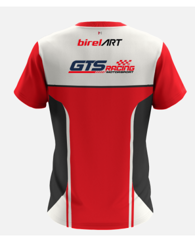 Camiseta BirelArt Team GTSRACING