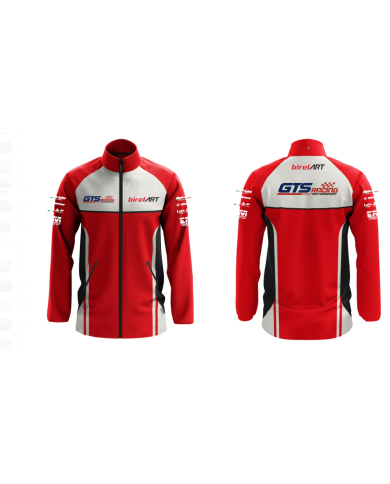 copy of Camiseta BirelArt Team GTSRACING