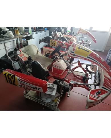 Kart BirelArt  Mini segunda mano ocasión con Motor Rotax Mini 2024 (Nº125) Mini con Motor Rotax Mini 2024 (Nº152)