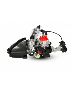 Motor Rotax Micro EVO 2